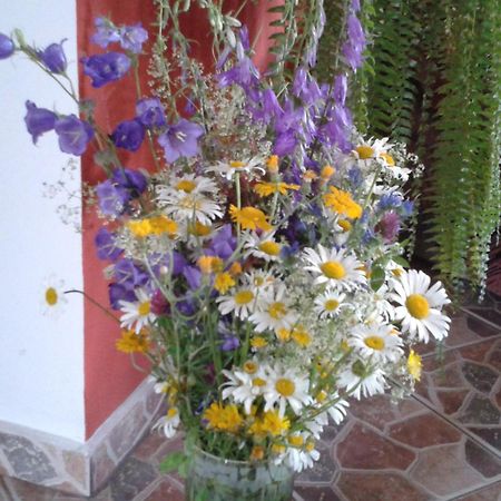 Pension Piatra Craiului โมเอเชอ เด จอส ภายนอก รูปภาพ