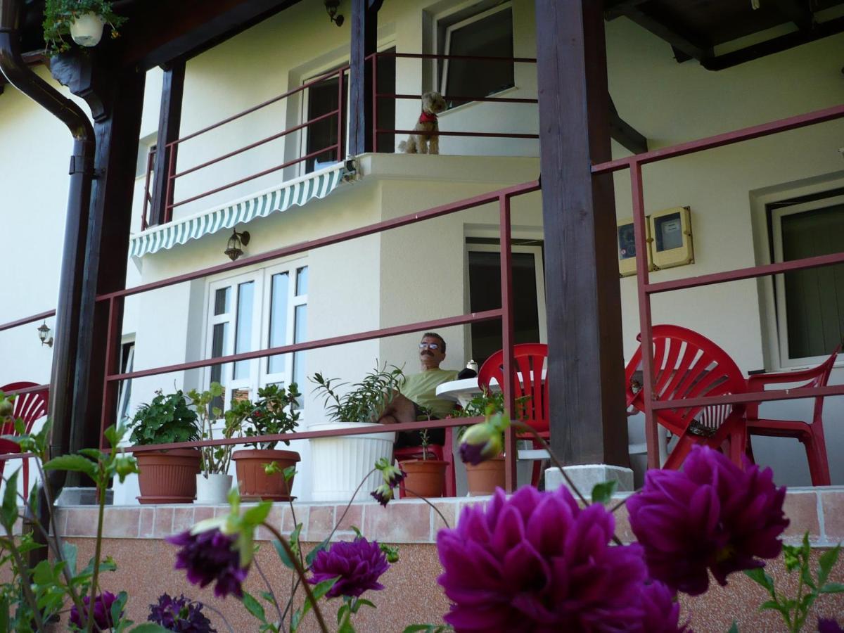 Pension Piatra Craiului โมเอเชอ เด จอส ภายนอก รูปภาพ