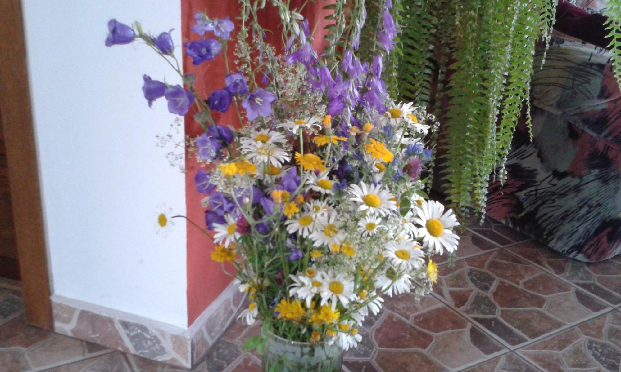 Pension Piatra Craiului โมเอเชอ เด จอส ภายนอก รูปภาพ