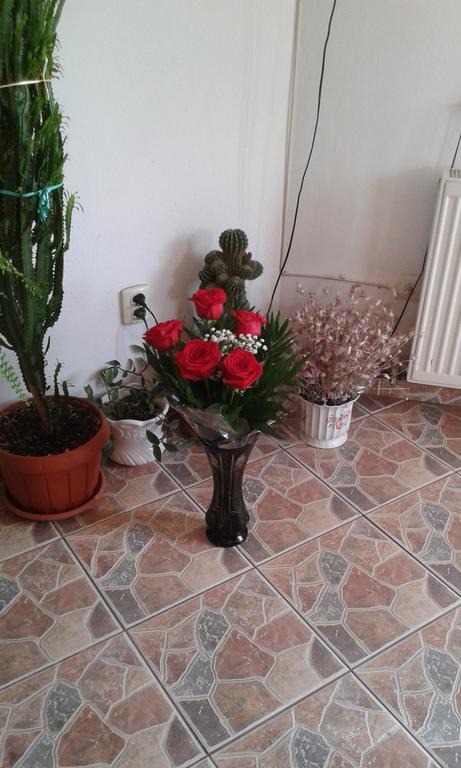 Pension Piatra Craiului โมเอเชอ เด จอส ภายนอก รูปภาพ