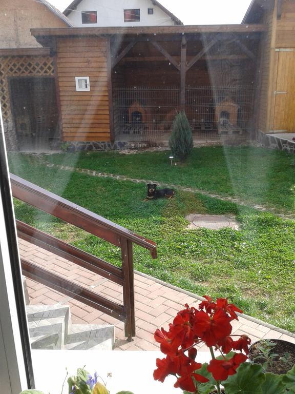 Pension Piatra Craiului โมเอเชอ เด จอส ภายนอก รูปภาพ