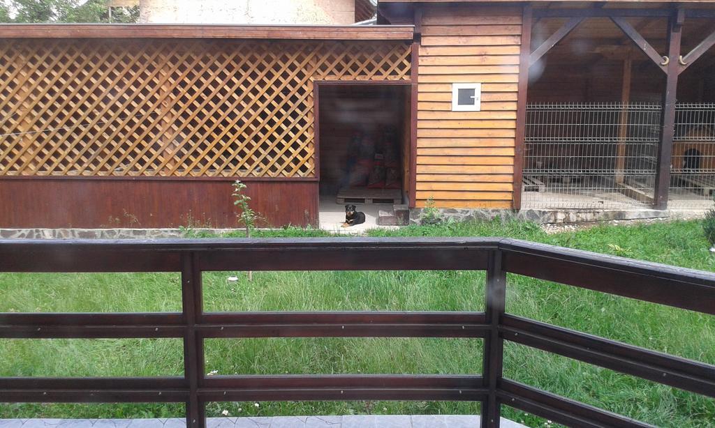 Pension Piatra Craiului โมเอเชอ เด จอส ภายนอก รูปภาพ