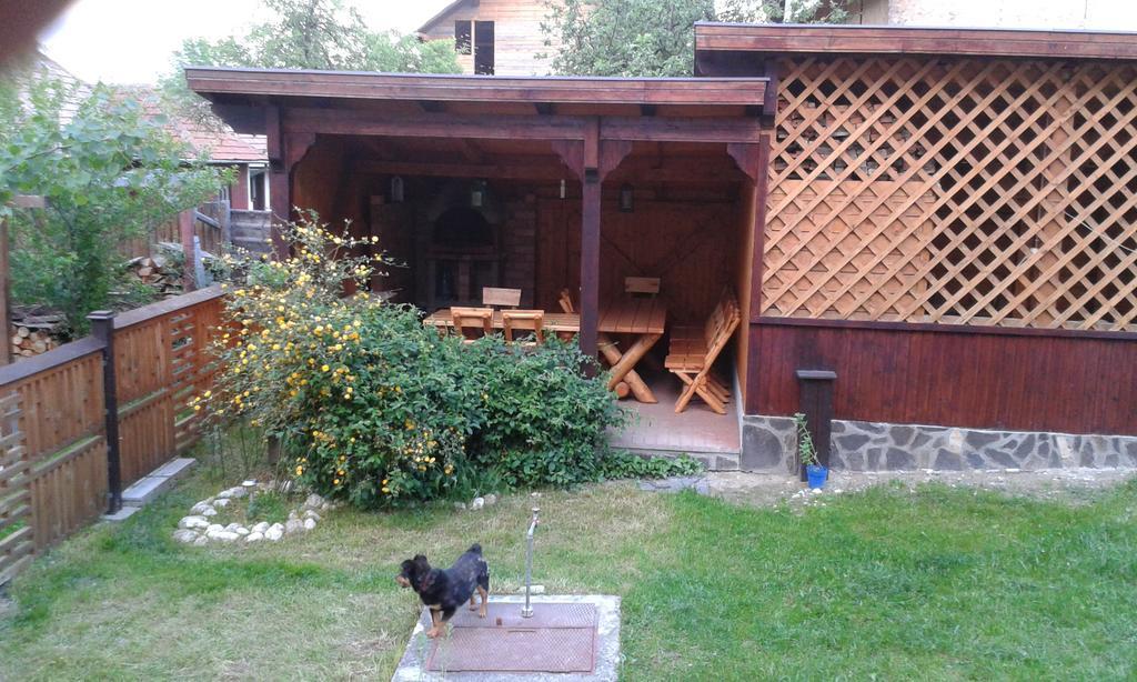 Pension Piatra Craiului โมเอเชอ เด จอส ภายนอก รูปภาพ
