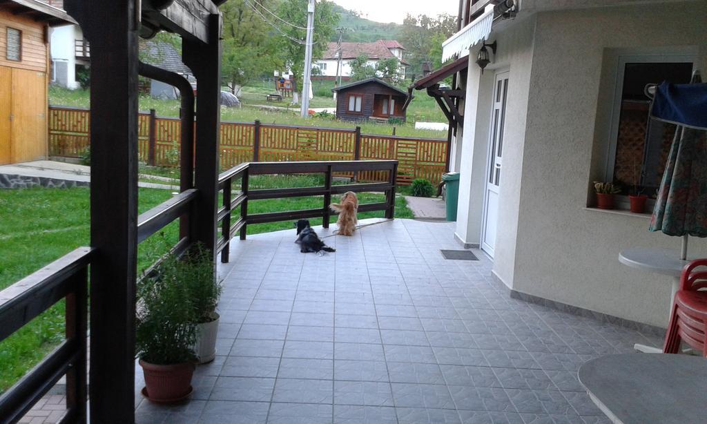 Pension Piatra Craiului โมเอเชอ เด จอส ภายนอก รูปภาพ
