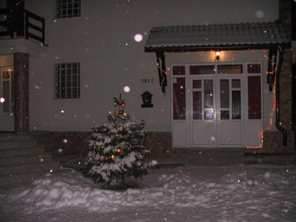 Pension Piatra Craiului โมเอเชอ เด จอส ภายนอก รูปภาพ